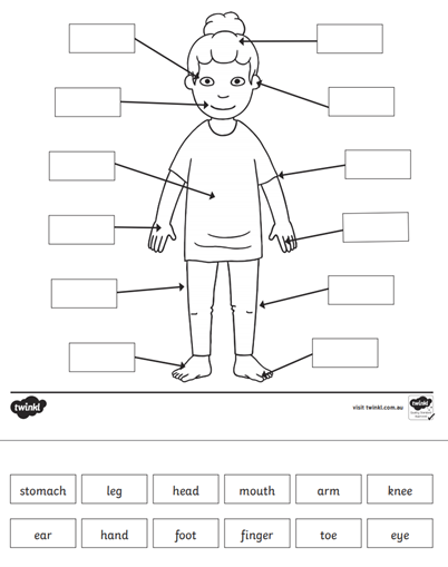 Hedgehogs Home Learning – 2/11/20 | St John The Baptist CE Primary ...