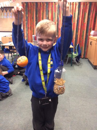 Shropshire Primary Schools Half Marathon