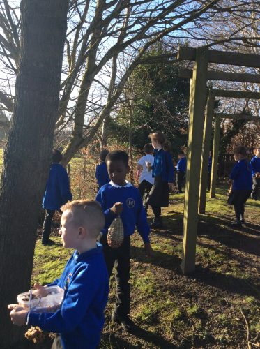 Shropshire Primary Schools Half Marathon
